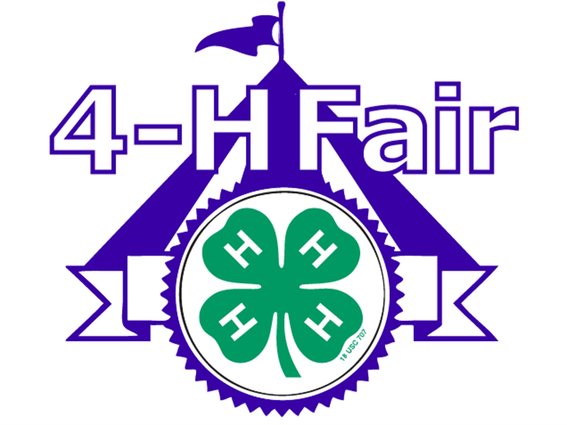 Logo for 2025 Carroll County Fair