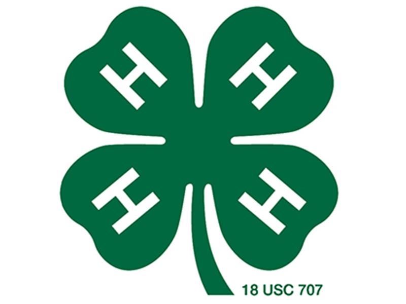Logo for 2025 DuPage County 4-H Fair