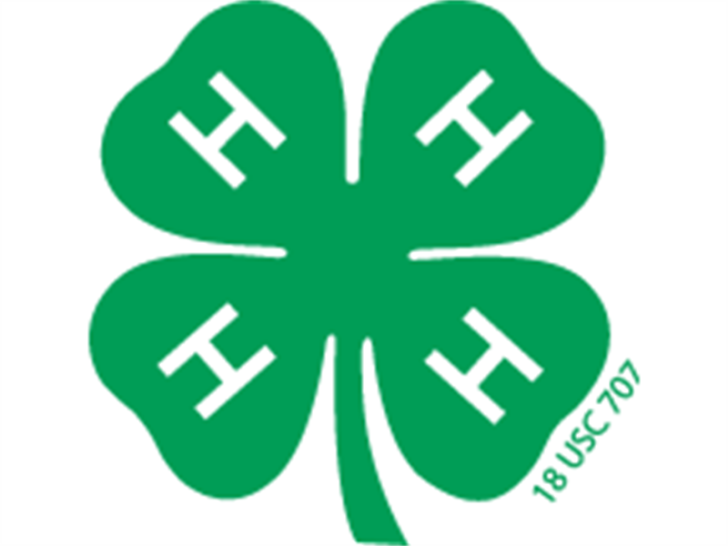 Logo for 2025 Fayette County Fair