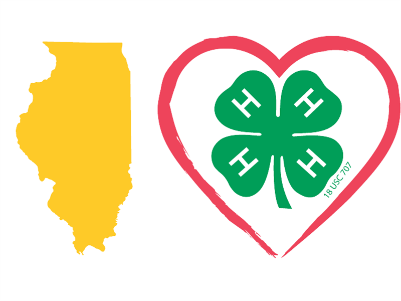 Logo for 2025 Fulton County 4-H Show