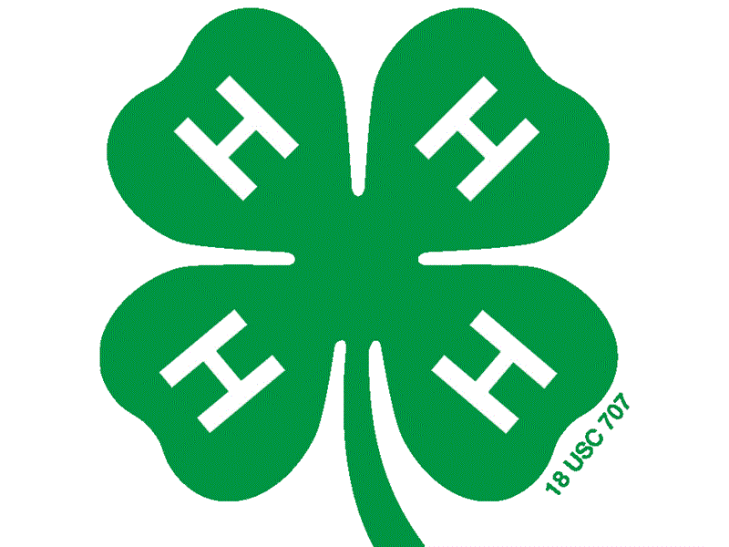 Logo for 2025 Marshall-Putnam 4-H Show