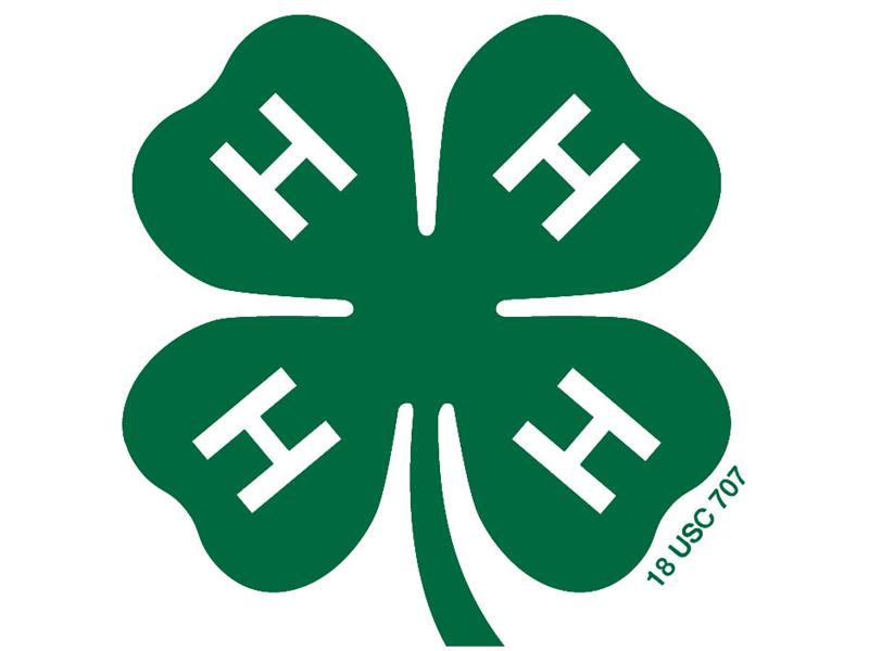 Logo for 2025 Monroe County 4-H Shows