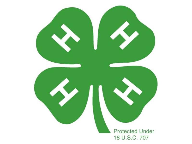 Logo for 2025 Morgan County 4-H Fair