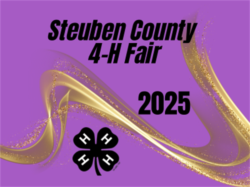Logo for 2025 Steuben County 4-H Fair