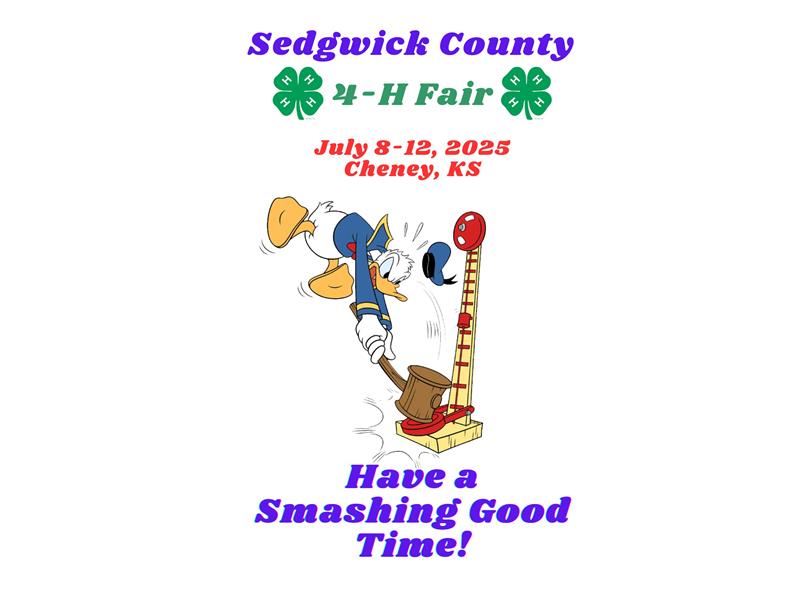 Logo for Sedgwick County 4-H Fair 2025