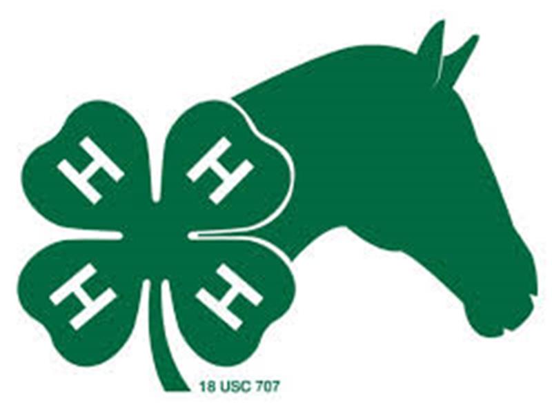 Logo for 2025 Custer/ Fall River / Pennington County Horse Show