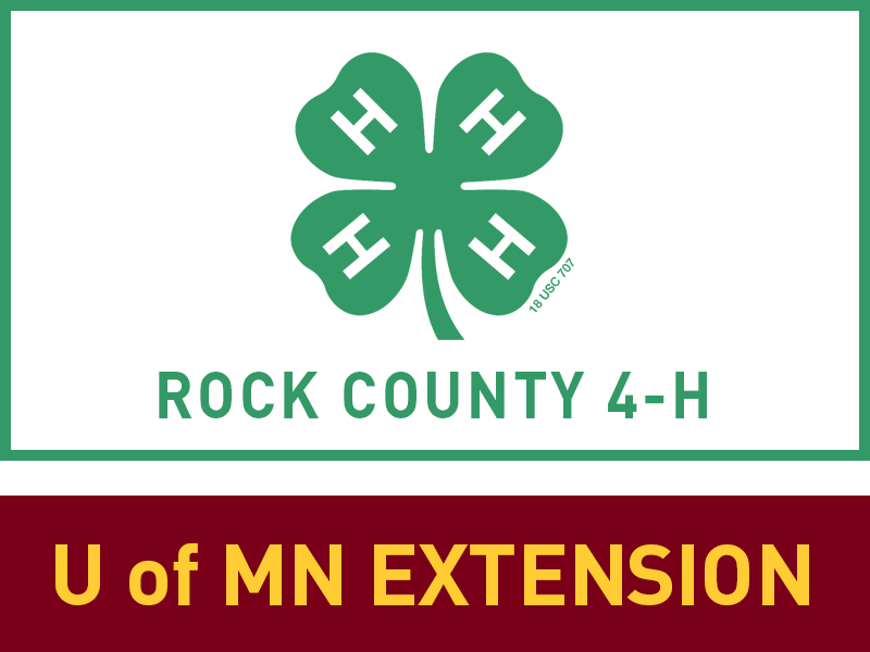 Logo for 2025 Rock County Fair