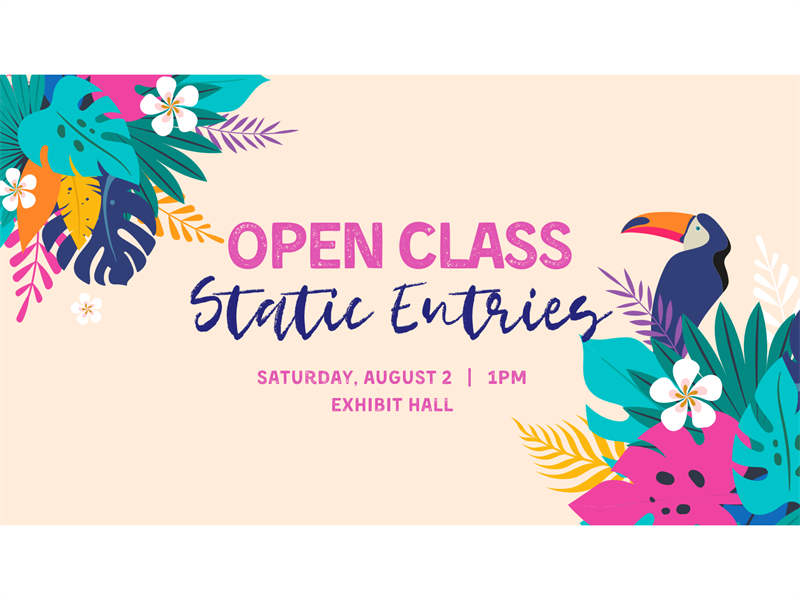 Logo for 2025 Carbon County Open Class