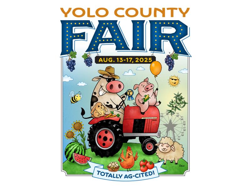 Logo for 2025 Yolo County Fair