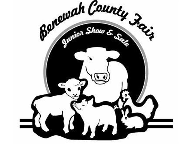 Logo for 2025 Junior Show and Sale