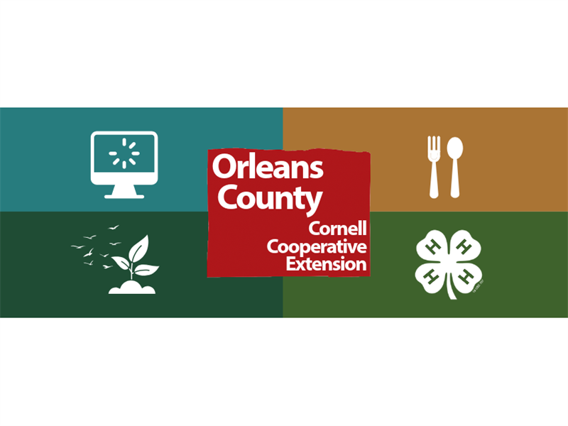 Logo for Orleans County 4-H Fair 2026